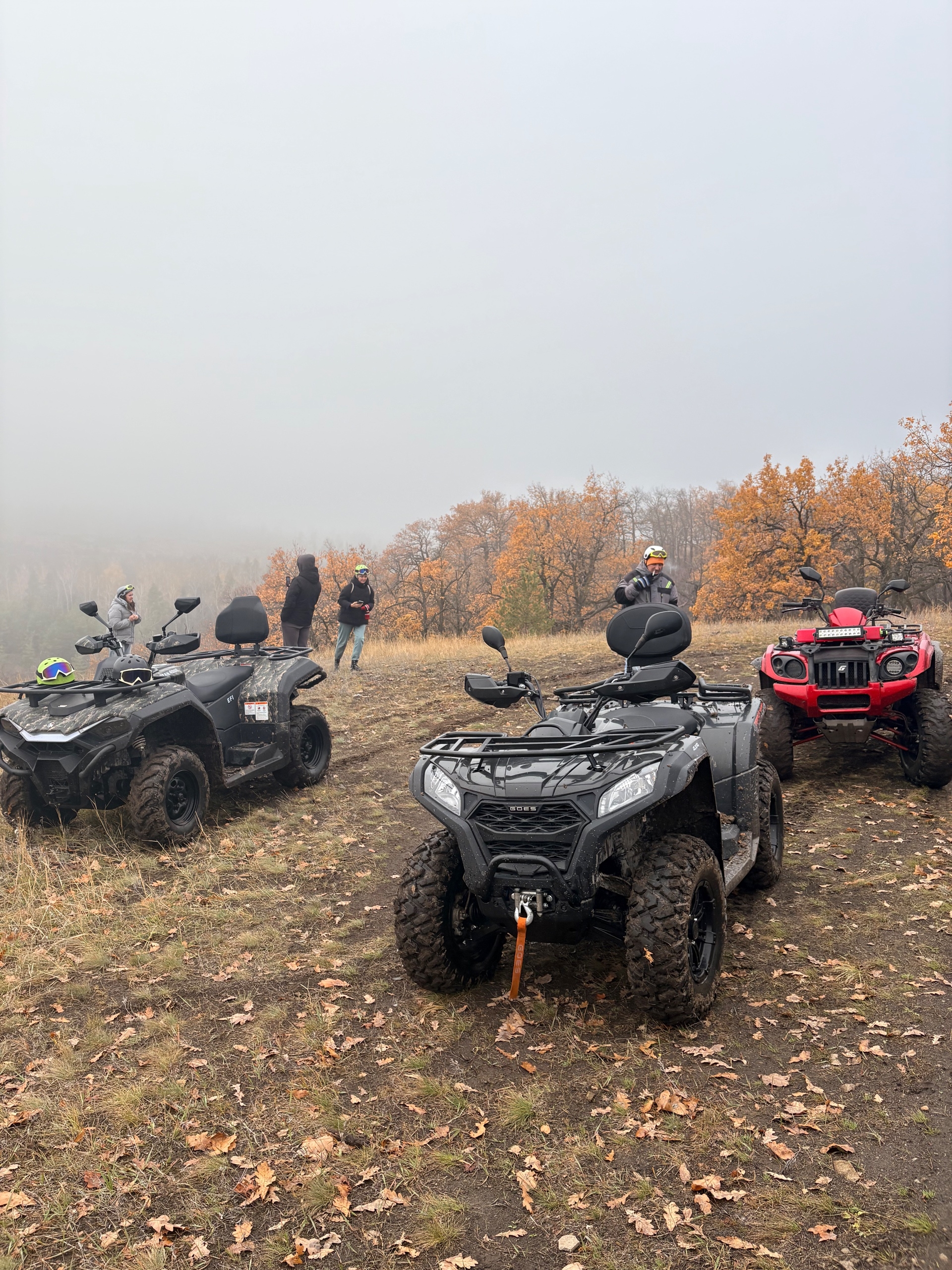 Адреналин и скорость